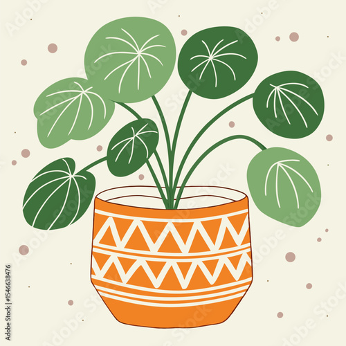 Potted Chinese money plant displays striking circular leaves in a patterned orange pot