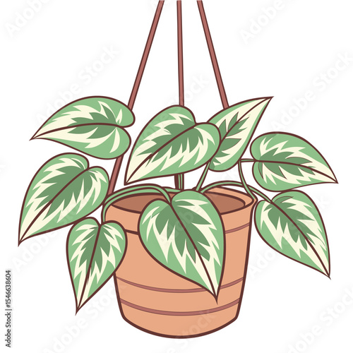 Silver pothos cascades from a terracotta hanging pot, creating a charming botanical display