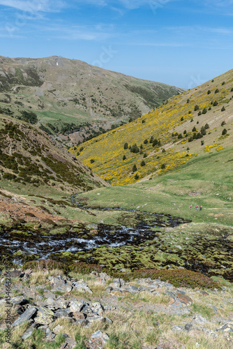 Meltwater flowing down the Err's riverbank., ascent to Puigmal d'Err, Haute-Cerdagne (Cerdagne), department of the Pyrénées-Orientales, France