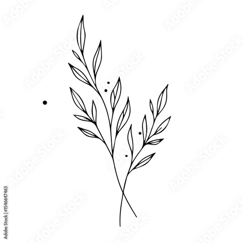 Simple line art drawing of elegant leaves and stems. Botanical illustration perfect for wedding invitations or minimalist branding.  Elegant foliage design ideal for stationery, logos,