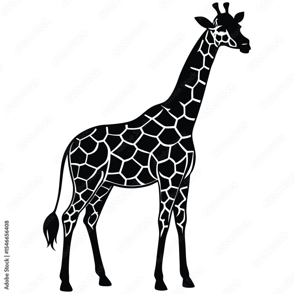 Naklejka premium giraffe isolated on white
