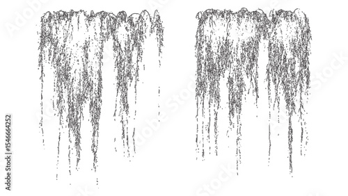 Tall Weeping Vines Line Drawing Vector