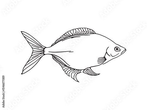 Tang Fish Line Art Style