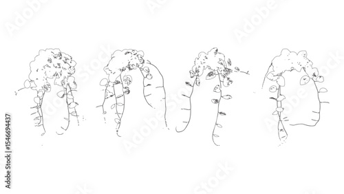 Monstera and Vines Minimal Botanical Drawing