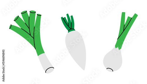 Spring onions, radish, onion. Fresh organic vegetables. Vector illustration