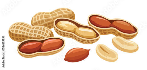 Delicious roasted peanuts in shells and open