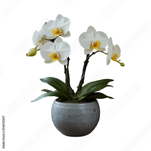 yellow orchid in a pot