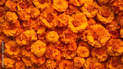 Panoramic view of the traditional Day of the Dead altars decorated with marigolds