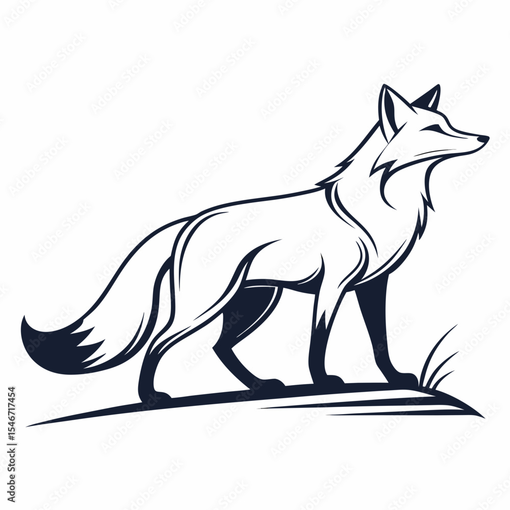 vector illustration of wolf, silhouette of fox vector illustration of wolf, silhouette of fox