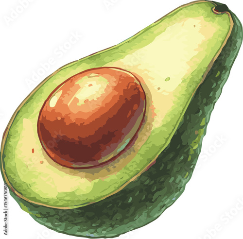 Watercolor vector illustration of a green avocado
