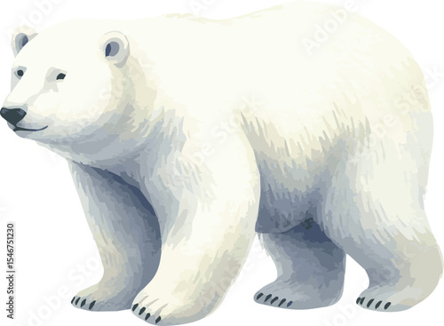 Vector watercolor painted illustration of a polar bear