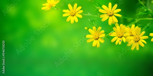 Luminous blurred design, green summer design wallpaper, spring light green blur background