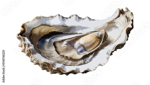 A single elegant oyster capturing its natural beauty and intricate texture revealing nature’s masterpiece