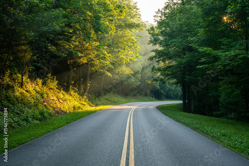 Shafts of Light Shine Around the Corner Of Fighting Creek Gap Road In Great Smoky Mountains