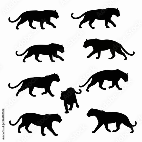 Silhouette panther set wildlife predator animal concept