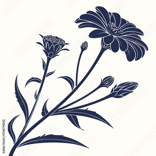 Billede på lærred black and white  zinnia