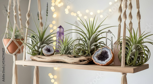 Bohemian Shelf Display Of Air Plants, Geodes And Crystals With String Lights