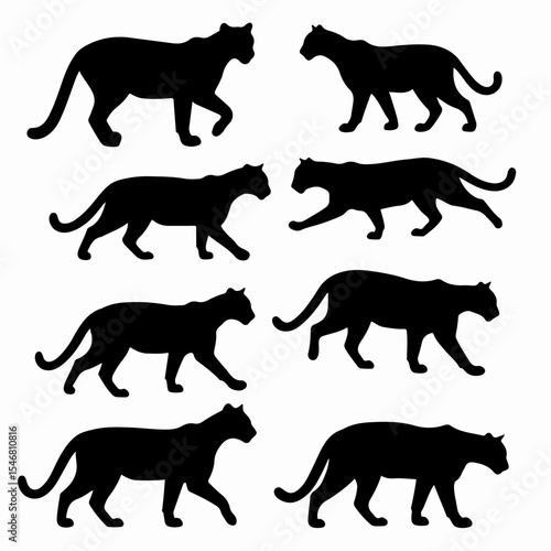 Panther black silhouette walking wildlife cat predator animal