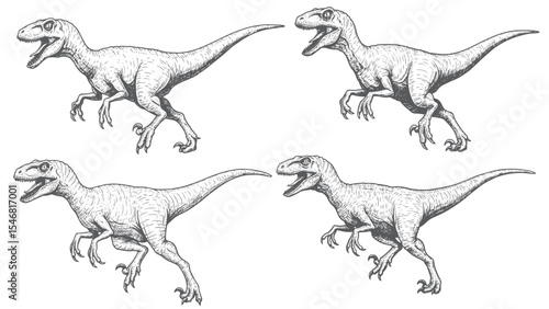 Engraved Velociraptor dinosaur vintage fast predator claws detailed bold classic graphic fierce illustration