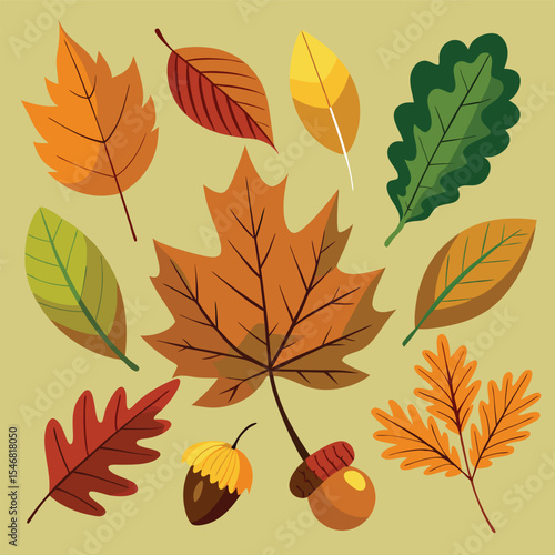 Autumn Collection: Leaf and Acorn on a Light-Green Background