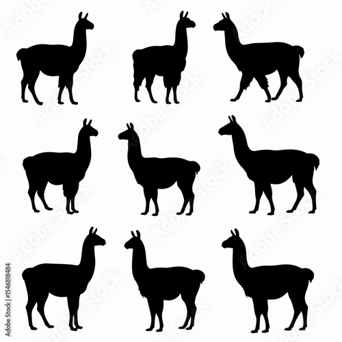 Llama silhouette collection animal art farm