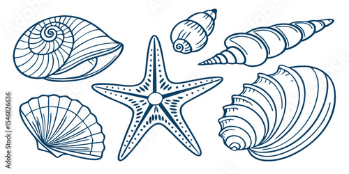 detailed line art of various seashells and a starfish isolated on white background.