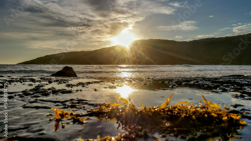 Linda paisagem aquática com um espelho d'água e algas amarelas em primeiro plano, uma pequena rocha e o mar bem na frente e ao fundo, o sol nascendo entre nuvens, atrás de uma montanha.
