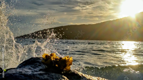 Paisagem costeira com ondas quebrando nas rochas, formando um padrão de respingos de água ao nascer do sol. Algas amarelas se destacam na rocha e uma montanha ao fundo, de onde o sol nasce.