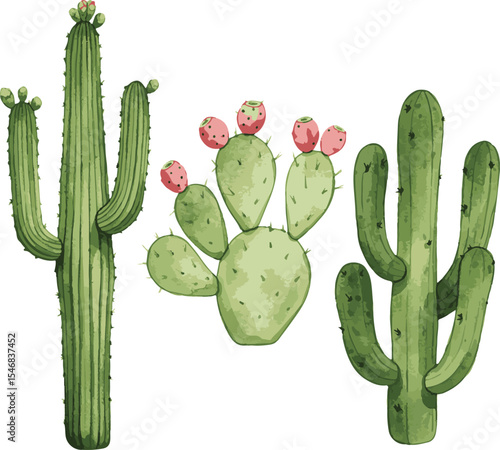 Watercolor Cactus Trio A Desert Oasis of Botanical Beauty Hand Painted Elegance for Southwest Inspired Decor and Artistic Ambiance