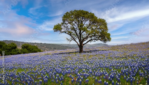 Wallpaper Mural lone tree in field of bluebonnets Torontodigital.ca