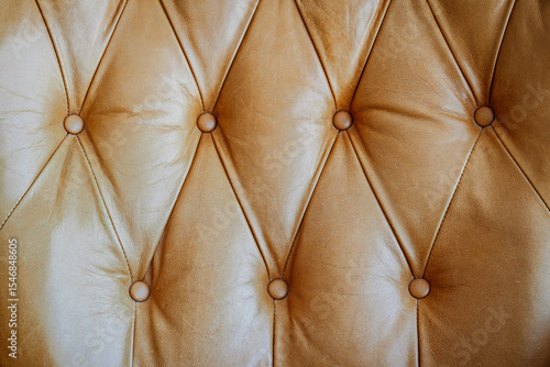 Detail of tufted brown leather chair back