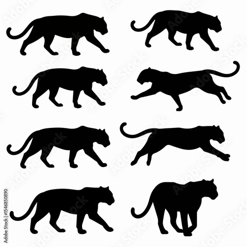 Black panther silhouette set animal