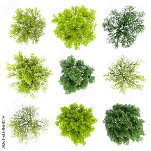 Aerial View of Nine Lush Green Trees Canopy Collection, Nature's vibrant shades in overhead perspective