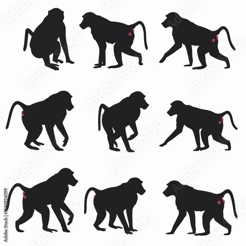 Baboon silhouette animal primate ape mammal wildlife