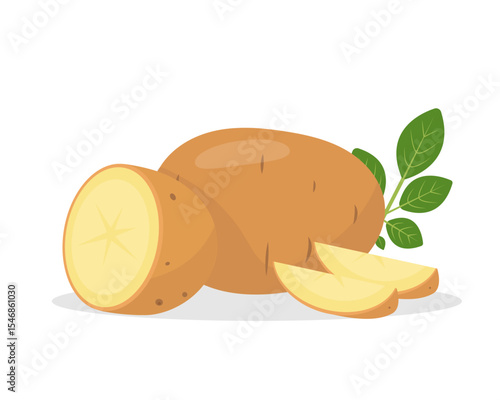 Potato root vegetables. Farm whole raw golden yellow potato, half and pieces. Organic garden vegetarian food. Vector illustration isolated on white background.