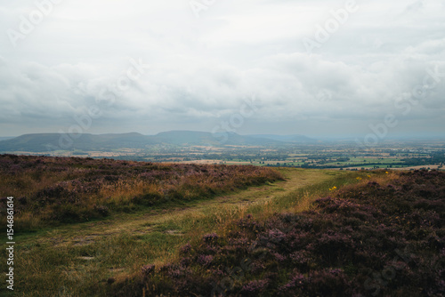 Fields at North York Moors National Park, view while climbing to Roseberry Topping,  England, UK