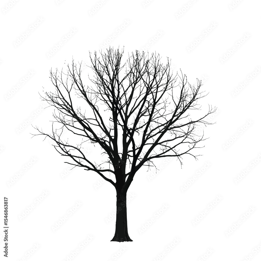 Silhouette of a Leafless Tree Winter Tree Illustration Silhouette of a Leafless Tree Winter Tree Illustration