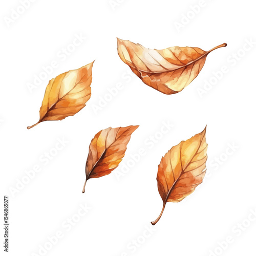 Crisp Leaves Falling Gently, watercolor painting vector, isolated on a white background.