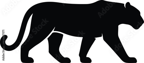 Silhouette panther walking big cat vector illustration
