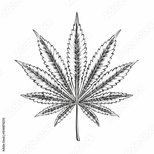 Organic cannabis illustration vector isolated on white background.