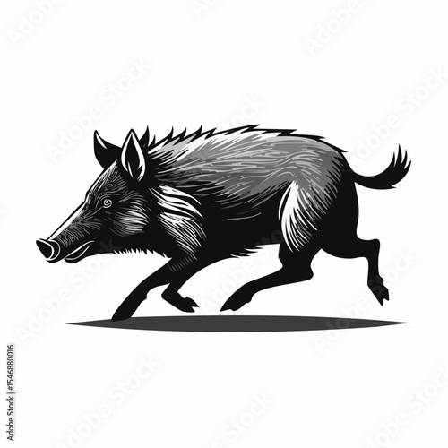 Running wild boar black and white Vector Image isolated on white background.