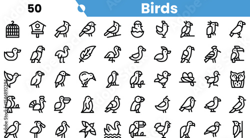 A diverse collection of bird icons showcasing various species and representations, all presented in a clean, minimalist style.