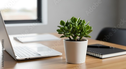 Modern Minimalist Workspace with Succulent Plant
