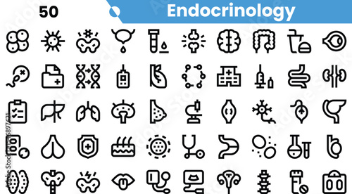 Collection of endocrine system icons featuring various medical symbols and organ representations.