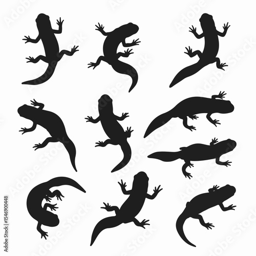 Salamander silhouette collection amphibian wildlife animals