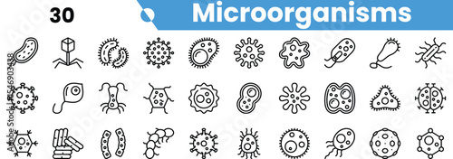 A collection of diverse microorganisms illustrated in a minimalist style, featuring various shapes, including bacteria and viruses.