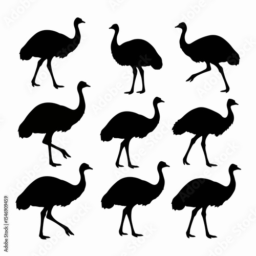 Ostrich silhouettes animal wildlife bird standing