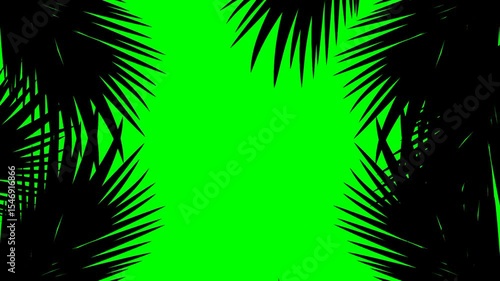 Wallpaper Mural Animation of blowing coconut leaves on green screen background. Tropical leaves frame. Summer leaves silhouette. Torontodigital.ca