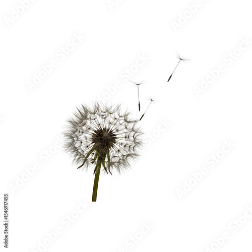 Wallpaper Mural Dandelion puff dispersing seeds in the wind, great for concepts of hope and dreams Torontodigital.ca