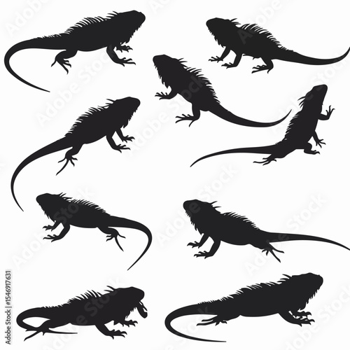 Iguana silhouette set, reptile lizard animal